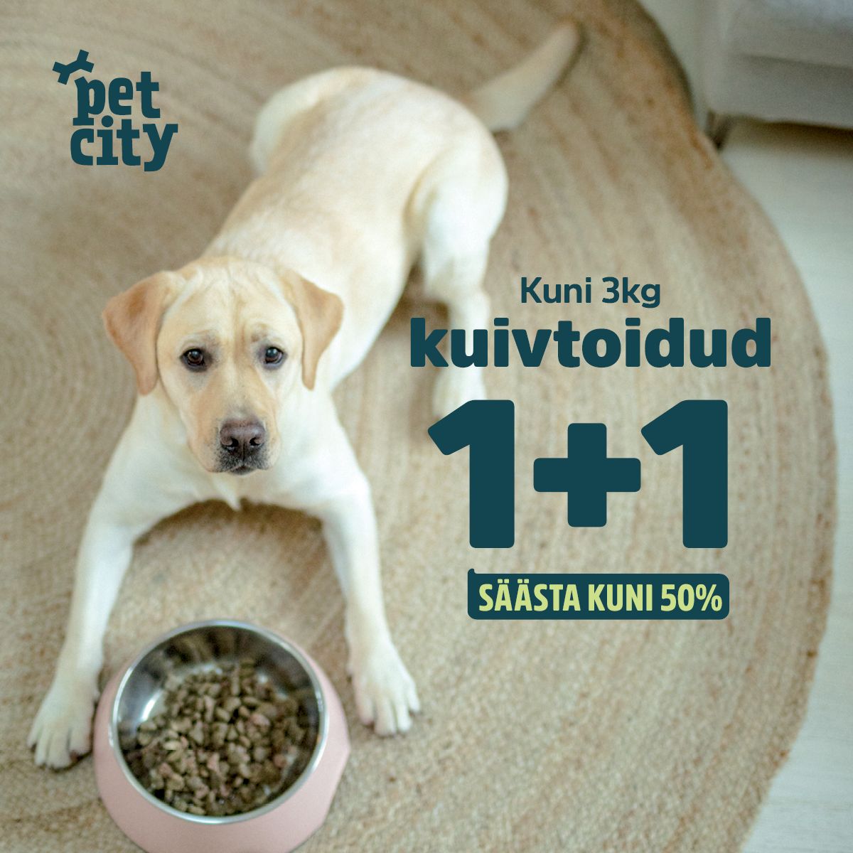 1+1
