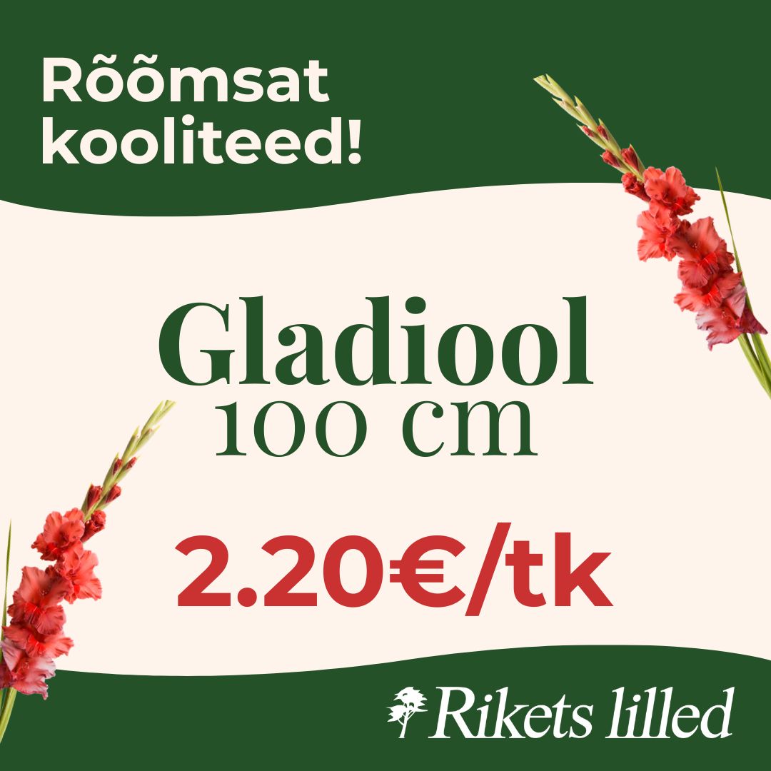 Gladiool 100cm 2.20 €